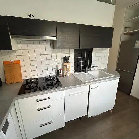 Apartment Fintajslova