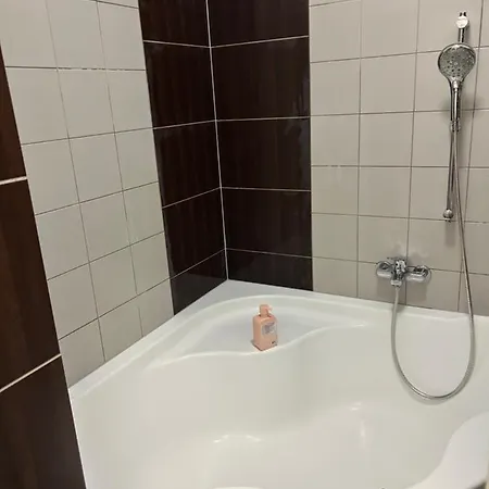 Fintajslova Apartment Breclav